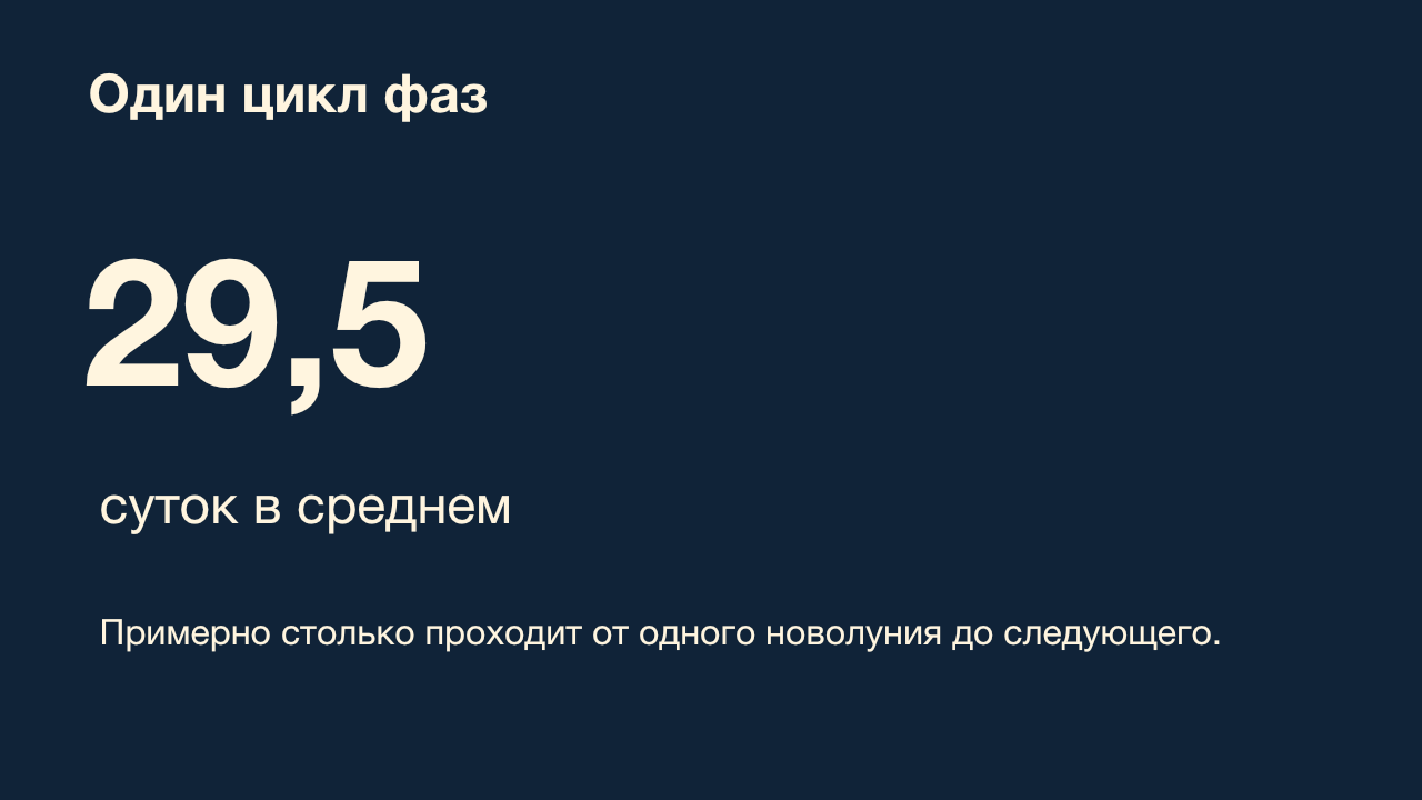 Слайд 5 готовой презентации: Один цикл фаз