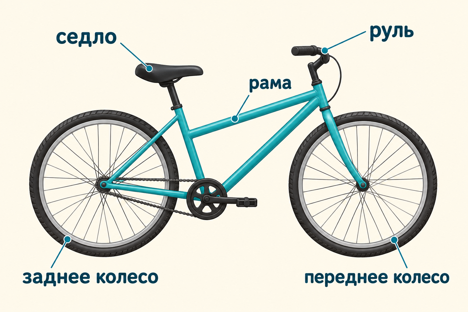 Реальный результат команды anatomy